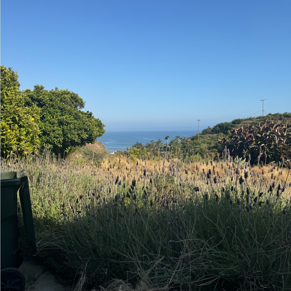 Meet your Posher, Danny dannoo